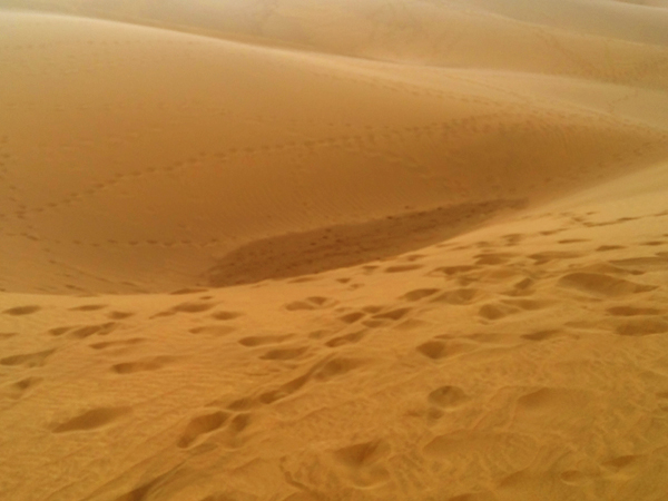 Deserto Maspalomas Gran Canaria