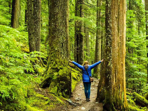 Forest Bathing